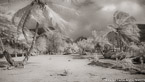 Tropical Lagoon, Tahiti  #YNL-569.  Infrared Photograph,  Stretched and Gallery Wrapped, Limited Edition Archival Print on Canvas:  72 x 40 inches, $1620.  Custom Proportions and Sizes are Available.  For more information or to order please visit our ABOUT page or call us at 561-691-1110.