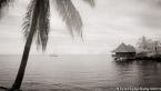 Tropical Beach, Tahiti  #YNL-575.  Infrared Photograph,  Stretched and Gallery Wrapped, Limited Edition Archival Print on Canvas:  72 x 40 inches, $1620.  Custom Proportions and Sizes are Available.  For more information or to order please visit our ABOUT page or call us at 561-691-1110.