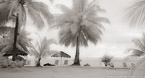 Tropical Beach, Tahiti  #YNL-577.  Infrared Photograph,  Stretched and Gallery Wrapped, Limited Edition Archival Print on Canvas:  68 x 36 inches, $1620.  Custom Proportions and Sizes are Available.  For more information or to order please visit our ABOUT page or call us at 561-691-1110.