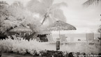 Tropical Beach, Tahiti  #YNL-578.  Infrared Photograph,  Stretched and Gallery Wrapped, Limited Edition Archival Print on Canvas:  72 x 40 inches, $1620.  Custom Proportions and Sizes are Available.  For more information or to order please visit our ABOUT page or call us at 561-691-1110.