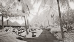 Tropical Walkway, Tahiti  #YNL-587.  Infrared Photograph,  Stretched and Gallery Wrapped, Limited Edition Archival Print on Canvas:  72 x 40 inches, $1620.  Custom Proportions and Sizes are Available.  For more information or to order please visit our ABOUT page or call us at 561-691-1110.