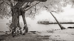 Tropical Beach, Tahiti  #YNL-594.  Infrared Photograph,  Stretched and Gallery Wrapped, Limited Edition Archival Print on Canvas:  72 x 40 inches, $1620.  Custom Proportions and Sizes are Available.  For more information or to order please visit our ABOUT page or call us at 561-691-1110.