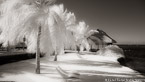 Tropical Beach, Tahiti  #YNL-596.  Infrared Photograph,  Stretched and Gallery Wrapped, Limited Edition Archival Print on Canvas:  72 x 40 inches, $1620.  Custom Proportions and Sizes are Available.  For more information or to order please visit our ABOUT page or call us at 561-691-1110.