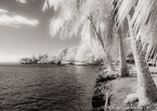 Tropical Bay, Moorea  #YNL-601.  Infrared Photograph,  Stretched and Gallery Wrapped, Limited Edition Archival Print on Canvas:  56 x 40 inches, $1590.  Custom Proportions and Sizes are Available.  For more information or to order please visit our ABOUT page or call us at 561-691-1110.