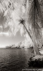Tropical Bay, Moorea  #YNL-602.  Infrared Photograph,  Stretched and Gallery Wrapped, Limited Edition Archival Print on Canvas:  40 x 68 inches, $1620.  Custom Proportions and Sizes are Available.  For more information or to order please visit our ABOUT page or call us at 561-691-1110.