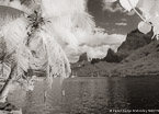Tropical Bay, Moorea  #YNL-608.  Infrared Photograph,  Stretched and Gallery Wrapped, Limited Edition Archival Print on Canvas:  56 x 40 inches, $1590.  Custom Proportions and Sizes are Available.  For more information or to order please visit our ABOUT page or call us at 561-691-1110.