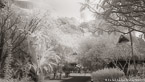 Tropical Huts, Moorea  #YNL-618.  Infrared Photograph,  Stretched and Gallery Wrapped, Limited Edition Archival Print on Canvas:  72 x 40 inches, $1620.  Custom Proportions and Sizes are Available.  For more information or to order please visit our ABOUT page or call us at 561-691-1110.