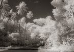 Tropical Road, Moorea  #YNL-630.  Infrared Photograph,  Stretched and Gallery Wrapped, Limited Edition Archival Print on Canvas:  56 x 40 inches, $1590.  Custom Proportions and Sizes are Available.  For more information or to order please visit our ABOUT page or call us at 561-691-1110.