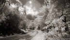 Tropical Road, Moorea  #YNL-633.  Infrared Photograph,  Stretched and Gallery Wrapped, Limited Edition Archival Print on Canvas:  72 x 40 inches, $1620.  Custom Proportions and Sizes are Available.  For more information or to order please visit our ABOUT page or call us at 561-691-1110.