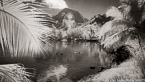 Tropical Bay, Moorea  #YNL-637.  Infrared Photograph,  Stretched and Gallery Wrapped, Limited Edition Archival Print on Canvas:  72 x 40 inches, $1620.  Custom Proportions and Sizes are Available.  For more information or to order please visit our ABOUT page or call us at 561-691-1110.