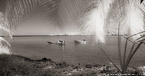 Tropical Bay, Moorea  #YNL-639.  Infrared Photograph,  Stretched and Gallery Wrapped, Limited Edition Archival Print on Canvas:  68 x 36 inches, $1620.  Custom Proportions and Sizes are Available.  For more information or to order please visit our ABOUT page or call us at 561-691-1110.