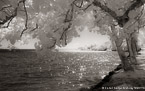 Tropical Bay, Moorea  #YNL-651.  Infrared Photograph,  Stretched and Gallery Wrapped, Limited Edition Archival Print on Canvas:  60 x 40 inches, $1590.  Custom Proportions and Sizes are Available.  For more information or to order please visit our ABOUT page or call us at 561-691-1110.