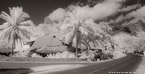 Tropical Road, Moorea  #YNL-652.  Infrared Photograph,  Stretched and Gallery Wrapped, Limited Edition Archival Print on Canvas:  72 x 36 inches, $1620.  Custom Proportions and Sizes are Available.  For more information or to order please visit our ABOUT page or call us at 561-691-1110.