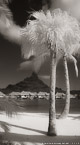 Tropical Beach, Bora Bora #YNL-681.  Infrared Photograph,  Stretched and Gallery Wrapped, Limited Edition Archival Print on Canvas:  40 x 72 inches, $1620.  Custom Proportions and Sizes are Available.  For more information or to order please visit our ABOUT page or call us at 561-691-1110.