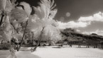 Tropical Beach, Bora Bora #YNL-684.  Infrared Photograph,  Stretched and Gallery Wrapped, Limited Edition Archival Print on Canvas:  72 x 40 inches, $1620.  Custom Proportions and Sizes are Available.  For more information or to order please visit our ABOUT page or call us at 561-691-1110.