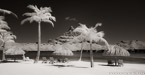 Tropical Beach, Bora Bora #YNL-688.  Infrared Photograph,  Stretched and Gallery Wrapped, Limited Edition Archival Print on Canvas:  68 x 36 inches, $1620.  Custom Proportions and Sizes are Available.  For more information or to order please visit our ABOUT page or call us at 561-691-1110.