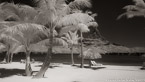 Tropical Beach, Bora Bora #YNL-689.  Infrared Photograph,  Stretched and Gallery Wrapped, Limited Edition Archival Print on Canvas:  72 x 40 inches, $1620.  Custom Proportions and Sizes are Available.  For more information or to order please visit our ABOUT page or call us at 561-691-1110.