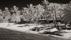 Tropical Beach, Bora Bora #YNL-698.  Infrared Photograph,  Stretched and Gallery Wrapped, Limited Edition Archival Print on Canvas:  72 x 40 inches, $1620.  Custom Proportions and Sizes are Available.  For more information or to order please visit our ABOUT page or call us at 561-691-1110.
