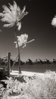 Tropical Beach, Bora Bora #YNL-712.  Infrared Photograph,  Stretched and Gallery Wrapped, Limited Edition Archival Print on Canvas:  40 x 72 inches, $1620.  Custom Proportions and Sizes are Available.  For more information or to order please visit our ABOUT page or call us at 561-691-1110.