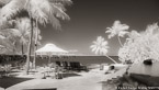 Tropical Beach, Bora Bora #YNL-716.  Infrared Photograph,  Stretched and Gallery Wrapped, Limited Edition Archival Print on Canvas:  72 x 40 inches, $1620.  Custom Proportions and Sizes are Available.  For more information or to order please visit our ABOUT page or call us at 561-691-1110.