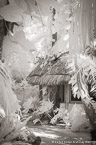Tropical Hut, Bora Bora #YNL-718.  Infrared Photograph,  Stretched and Gallery Wrapped, Limited Edition Archival Print on Canvas:  40 x 60 inches, $1590.  Custom Proportions and Sizes are Available.  For more information or to order please visit our ABOUT page or call us at 561-691-1110.