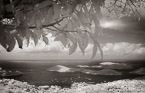 Tropical Vista, Saint Thomas #YNL-728.  Infrared Photograph,  Stretched and Gallery Wrapped, Limited Edition Archival Print on Canvas:  68 x 40 inches, $1620.  Custom Proportions and Sizes are Available.  For more information or to order please visit our ABOUT page or call us at 561-691-1110.