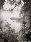 Tropical Vista, Saint Thomas #YNL-731.  Infrared Photograph,  Stretched and Gallery Wrapped, Limited Edition Archival Print on Canvas:  40 x 56 inches, $1590.  Custom Proportions and Sizes are Available.  For more information or to order please visit our ABOUT page or call us at 561-691-1110.