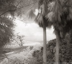 Tropical Vista, Saint Thomas #YNL-742.  Infrared Photograph,  Stretched and Gallery Wrapped, Limited Edition Archival Print on Canvas:  48 x 44 inches, $1530.  Custom Proportions and Sizes are Available.  For more information or to order please visit our ABOUT page or call us at 561-691-1110.