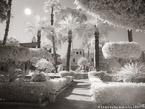 Garden, Cairo Egypt #YNL-747.  Infrared Photograph,  Stretched and Gallery Wrapped, Limited Edition Archival Print on Canvas:  56 x 40 inches, $1590.  Custom Proportions and Sizes are Available.  For more information or to order please visit our ABOUT page or call us at 561-691-1110.