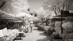 Cafe , Athens Greece #YNL-421.  Infrared Photograph,  Stretched and Gallery Wrapped, Limited Edition Archival Print on Canvas:  72 x 40 inches, $1620.  Custom Proportions and Sizes are Available.  For more information or to order please visit our ABOUT page or call us at 561-691-1110.