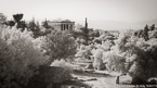 Park , Athens Greece #YNL-432.  Infrared Photograph,  Stretched and Gallery Wrapped, Limited Edition Archival Print on Canvas:  72 x 40 inches, $1620.  Custom Proportions and Sizes are Available.  For more information or to order please visit our ABOUT page or call us at 561-691-1110.