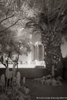 Garden , Athens Greece #YNL-439.  Infrared Photograph,  Stretched and Gallery Wrapped, Limited Edition Archival Print on Canvas:  40 x 60 inches, $1590.  Custom Proportions and Sizes are Available.  For more information or to order please visit our ABOUT page or call us at 561-691-1110.