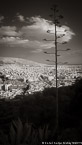 Vista , Athens Greece #YNL-451.  Infrared Photograph,  Stretched and Gallery Wrapped, Limited Edition Archival Print on Canvas:  40 x 72 inches, $1620.  Custom Proportions and Sizes are Available.  For more information or to order please visit our ABOUT page or call us at 561-691-1110.