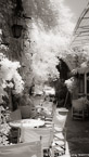 Cafe , Limassol Cyprus #YNL-476.  Infrared Photograph,  Stretched and Gallery Wrapped, Limited Edition Archival Print on Canvas:  40 x 44 inches, $1530.  Custom Proportions and Sizes are Available.  For more information or to order please visit our ABOUT page or call us at 561-691-1110.