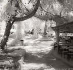 Cafe , Antalya Turkey #YNL-486.  Infrared Photograph,  Stretched and Gallery Wrapped, Limited Edition Archival Print on Canvas:  40 x 44 inches, $1530.  Custom Proportions and Sizes are Available.  For more information or to order please visit our ABOUT page or call us at 561-691-1110.