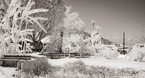 Marina , Antalya Turkey #YNL-502.  Infrared Photograph,  Stretched and Gallery Wrapped, Limited Edition Archival Print on Canvas:  68 x 36 inches, $1620.  Custom Proportions and Sizes are Available.  For more information or to order please visit our ABOUT page or call us at 561-691-1110.