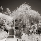 Garden , Antalya Turkey #YNL-507.  Infrared Photograph,  Stretched and Gallery Wrapped, Limited Edition Archival Print on Canvas:  40 x 44 inches, $1530.  Custom Proportions and Sizes are Available.  For more information or to order please visit our ABOUT page or call us at 561-691-1110.