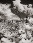 Garden , Antalya Turkey #YNL-513.  Infrared Photograph,  Stretched and Gallery Wrapped, Limited Edition Archival Print on Canvas:  40 x 50 inches, $1560.  Custom Proportions and Sizes are Available.  For more information or to order please visit our ABOUT page or call us at 561-691-1110.