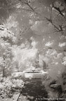 Tropical Garden, Palm Beach #YNL-941.  Infrared Photograph,  Stretched and Gallery Wrapped, Limited Edition Archival Print on Canvas:  40 x 60 inches, $1590.  Custom Proportions and Sizes are Available.  For more information or to order please visit our ABOUT page or call us at 561-691-1110.
