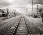 Railroad , Palm Beach #YNL-943.  Infrared Photograph,  Stretched and Gallery Wrapped, Limited Edition Archival Print on Canvas:  48 x 40 inches, $1560.  Custom Proportions and Sizes are Available.  For more information or to order please visit our ABOUT page or call us at 561-691-1110.