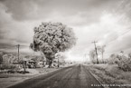 Country Road, Costa Rica #YNL-956.  Infrared Photograph,  Stretched and Gallery Wrapped, Limited Edition Archival Print on Canvas:  60 x 40 inches, $1590.  Custom Proportions and Sizes are Available.  For more information or to order please visit our ABOUT page or call us at 561-691-1110.