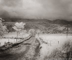 Country Road, Costa Rica #YNL-958.  Infrared Photograph,  Stretched and Gallery Wrapped, Limited Edition Archival Print on Canvas:  48 x 40 inches, $1560.  Custom Proportions and Sizes are Available.  For more information or to order please visit our ABOUT page or call us at 561-691-1110.