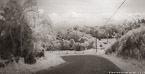 Country Road, Costa Rica #YNL-962.  Infrared Photograph,  Stretched and Gallery Wrapped, Limited Edition Archival Print on Canvas:  68 x 36 inches, $1620.  Custom Proportions and Sizes are Available.  For more information or to order please visit our ABOUT page or call us at 561-691-1110.