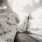 Tropical Walkway, Palm Beach #YNL-972.  Infrared Photograph,  Stretched and Gallery Wrapped, Limited Edition Archival Print on Canvas:  40 x 40 inches, $1500.  Custom Proportions and Sizes are Available.  For more information or to order please visit our ABOUT page or call us at 561-691-1110.