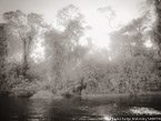 Tropical Estuary, Costa Rica #YNS-818.  Infrared Photograph,  Stretched and Gallery Wrapped, Limited Edition Archival Print on Canvas:  56 x 40 inches, $1590.  Custom Proportions and Sizes are Available.  For more information or to order please visit our ABOUT page or call us at 561-691-1110.