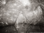 Tropical Estuary, Costa Rica #YNS-833.  Infrared Photograph,  Stretched and Gallery Wrapped, Limited Edition Archival Print on Canvas:  56 x 40 inches, $1590.  Custom Proportions and Sizes are Available.  For more information or to order please visit our ABOUT page or call us at 561-691-1110.