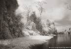 Tropical Estuary, Costa Rica #YNS-883.  Infrared Photograph,  Stretched and Gallery Wrapped, Limited Edition Archival Print on Canvas:  56 x 40 inches, $1590.  Custom Proportions and Sizes are Available.  For more information or to order please visit our ABOUT page or call us at 561-691-1110.