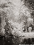 Tropical Estuary, Costa Rica #YNS-902.  Infrared Photograph,  Stretched and Gallery Wrapped, Limited Edition Archival Print on Canvas:  40 x 56 inches, $1590.  Custom Proportions and Sizes are Available.  For more information or to order please visit our ABOUT page or call us at 561-691-1110.