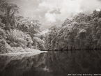 Tropical Estuary, Costa Rica #YNS-910.  Infrared Photograph,  Stretched and Gallery Wrapped, Limited Edition Archival Print on Canvas:  56 x 40 inches, $1590.  Custom Proportions and Sizes are Available.  For more information or to order please visit our ABOUT page or call us at 561-691-1110.