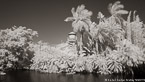 Tropical Lagoon, Palm Beach #YNS-734.  Infrared Photograph,  Stretched and Gallery Wrapped, Limited Edition Archival Print on Canvas:  72 x 40 inches, $1620.  Custom Proportions and Sizes are Available.  For more information or to order please visit our ABOUT page or call us at 561-691-1110.